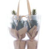 9" Pine Tree In Burlap