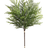 26" Cedar Bundle