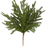19" Real Touch Norfolk Pine Stem