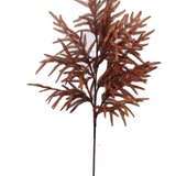 36" Real Touch Rust Norfolk Pine Stem