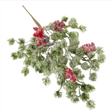 Japanese Pine And Red Berry Pick