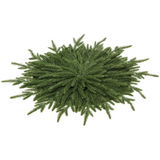18" Willow Pine Round Placemat