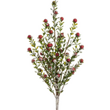Iced Berry Spray