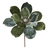 22.5" Magnolia Stem