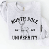 North Pole University