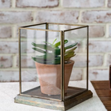 7.5" Antique Glass Displayer