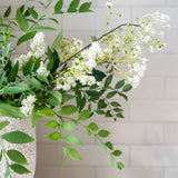 Baby's Breath Spray