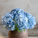 Blue Hydrangea Bundle