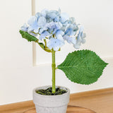 Hydrangea Drop-In Pot – Blue