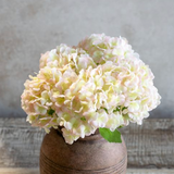 Blush Hydrangea Bunch