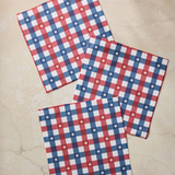 Bunting Check Dishcloth Set