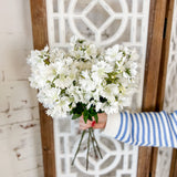 19.5" Dianthus Spray