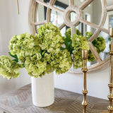Green Hydrangea Bush