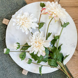 Ivory Dahlia Bundle