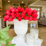 Red Tulip Bundle