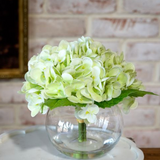 Green Hydrangea Arrangement in Glass Vase