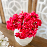 10" Ranunculus Bundle