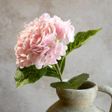 Pink Hydrangea Stem