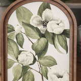 6x8" White Botanical Branch Arched Framed Wall Art