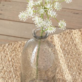 White Gypsophila Stem