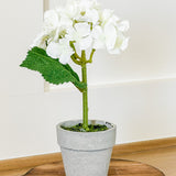 Hydrangea Drop-In Pot -- 7"