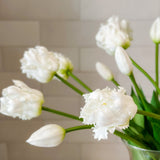 White Parrot Tulip Bundle